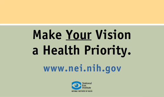 Slide 13: Make your vision a health priority