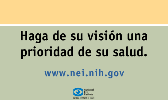 Página 13: Haga de su visión una prioridad de su salud