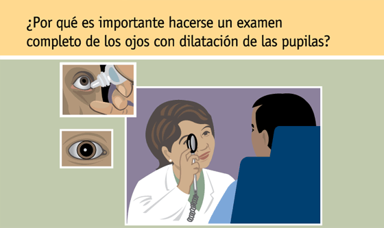 Página 7: ¿Cómo puede la retinopatía diabética causar una pérdida de la visión?