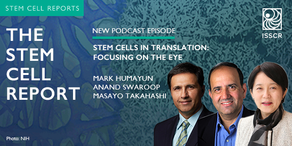 Podcast: The Stem Cell Report: Stem Cells in Translation: Focusing on the Eye 