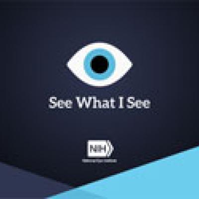 The NEI See What I See VR app logo.