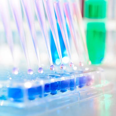 Our impact research and training block thumbnail spanish