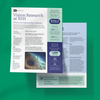 Vision Research at NIH