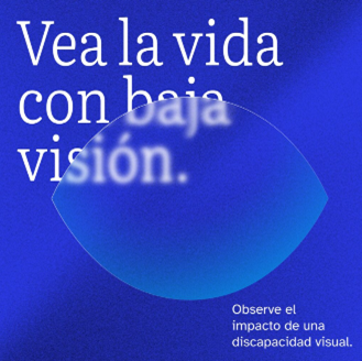 LVAM LIfe with low vision