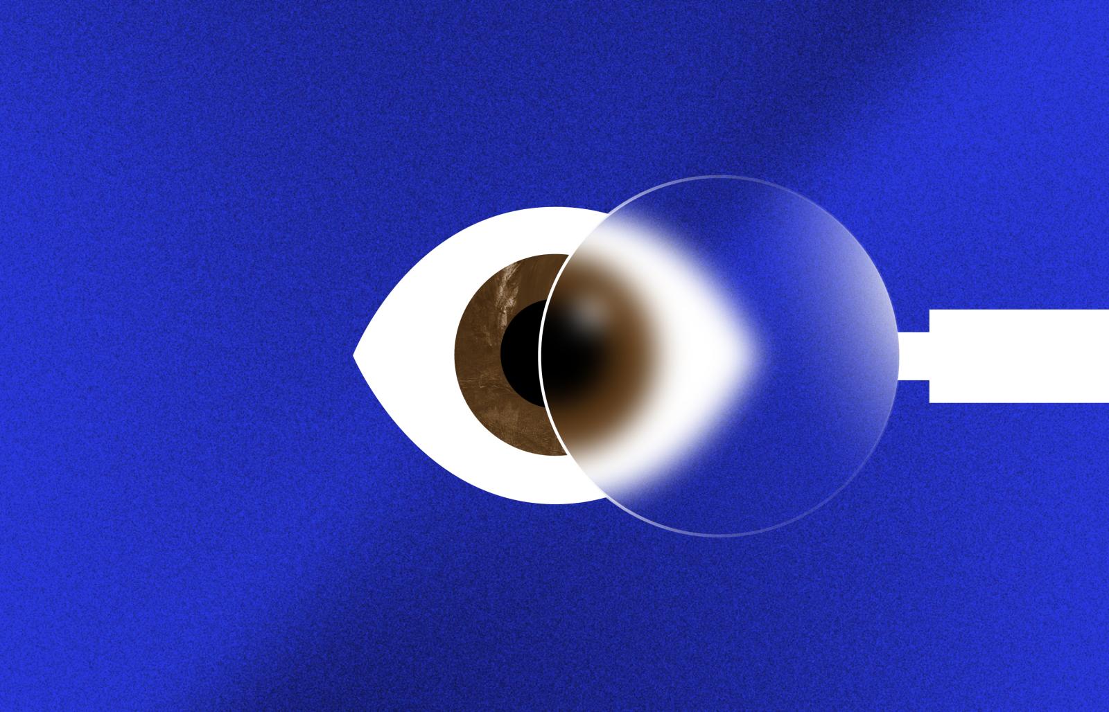 Vision Research at NIH