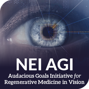 NEI Audacious Goals Initiative for regenerative medicine in vision identity mark