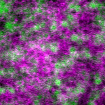 Multimodal image of retinal pigment epithelial cells.