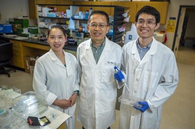 Qiuhua Yang, Yuqing Huo and Yongeng Cai in a laboratory.