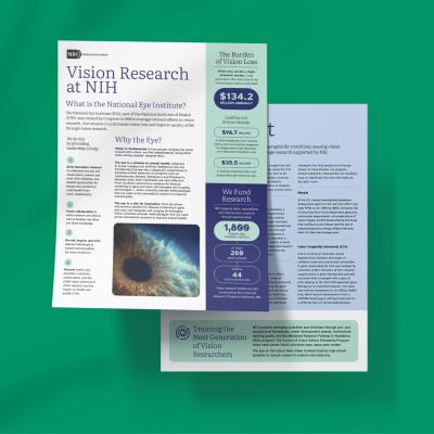 Vision Research at NIH for Outreach Materials