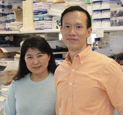 Xu Wang with Wai Wong in lab
