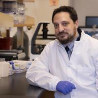 Brad Gelfand, Ph.D., in the laboratory