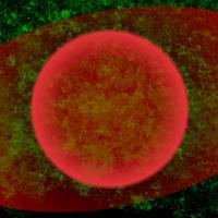 Field of green cells with red circle and red oval overlaid.