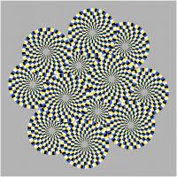 Optical illusion with circles that appear to rotate