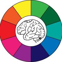 Drawing of brain inside a color wheel