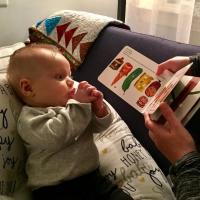 A baby looks at a book