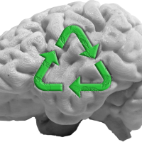 Brain illustration with recycling logo