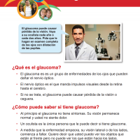 La visión con glaucoma.