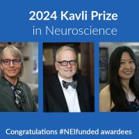 2024 Kavli Prize in neuroscience congratulations #NEIfunded awardees