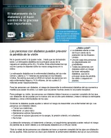 Captura de pantalla de la hoja informativa "Las personas con diabetes pueden prevenir la pérdida de la visión".